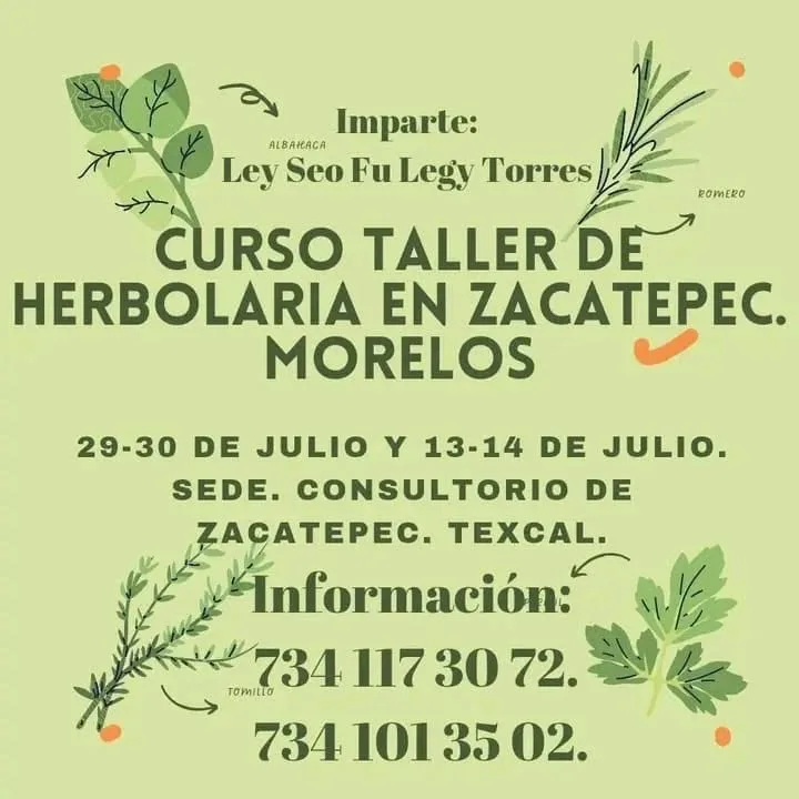 Ley Seo Fu